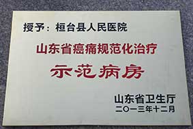 癌痛规范化诊疗牌.jpg